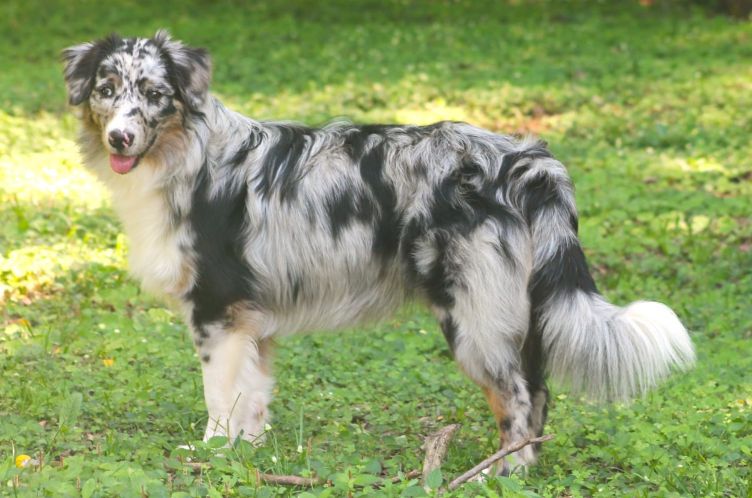 Summer 8 Monate (Peach x Beau) Image